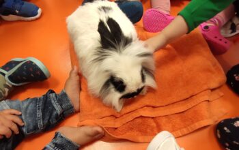 Point Blur_Oct022020_170627